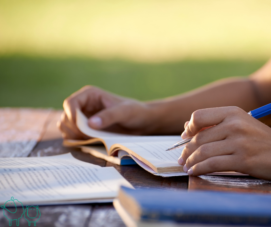 Why is training so important in adoption