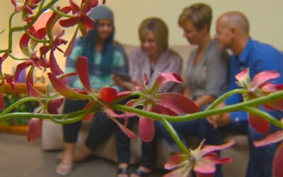 KTVB SEVEN HERO’S!