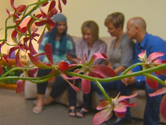 Pregnancy Counselor Cara Walsh 7s Hero Pregnancy Counselor Idaho