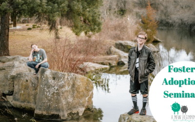 Foster-Adoption Information Seminar