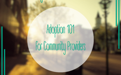 Adoption 101 for Community Providers