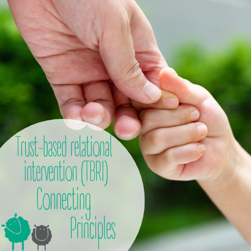 TBRI-Connecting-Principles