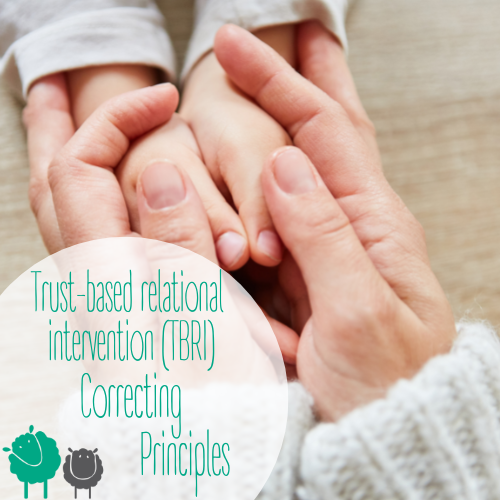 TBRI-Correcting-Principles