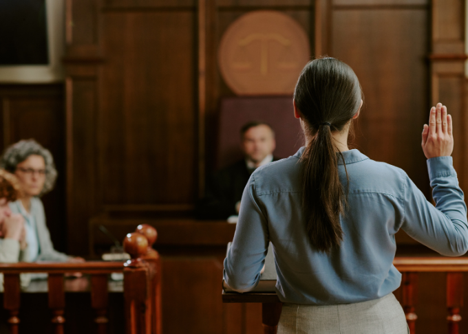 Family Court Social Investigation Social Investigation Testimony